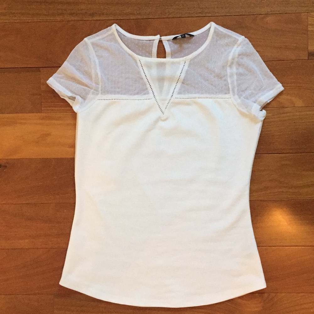 Rw & Co polka dot mesh t-shirt